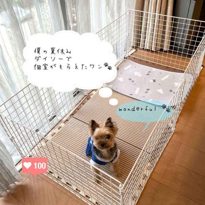 【ダイソー】夏休み♡お留守番のボクも個室が貰えた『ワン！ダフル！！』な話し！！