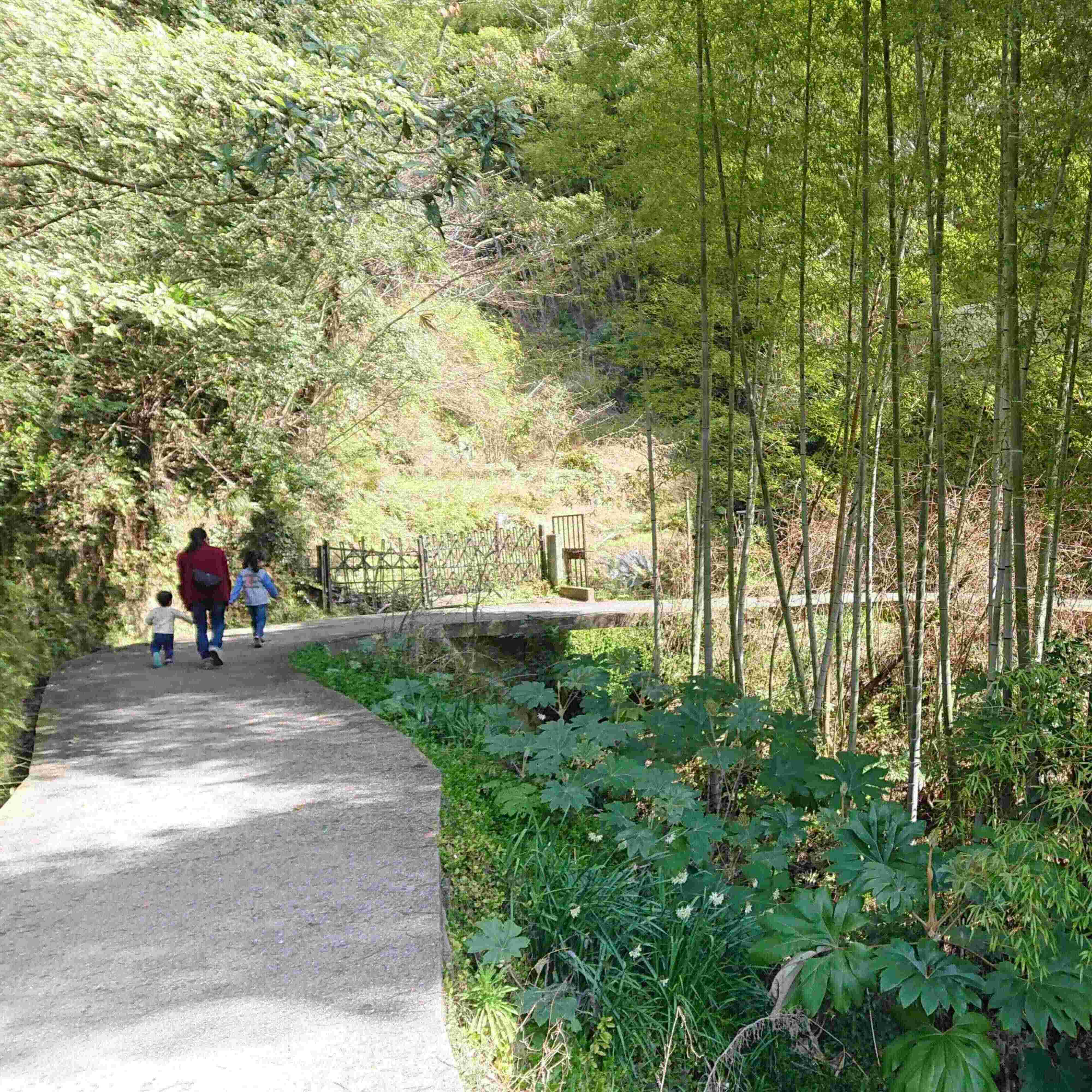 【節約】自分を見失わないための0円セルフケア5選