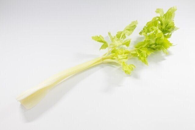 栄養たっぷりでダイエットにも最適！セロリをもっと気軽に食べよう♪簡単アレンジレシピ3選