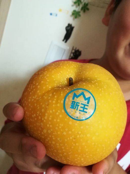 知ってますか？日本トップレベルを目指す「王様」の梨があることを