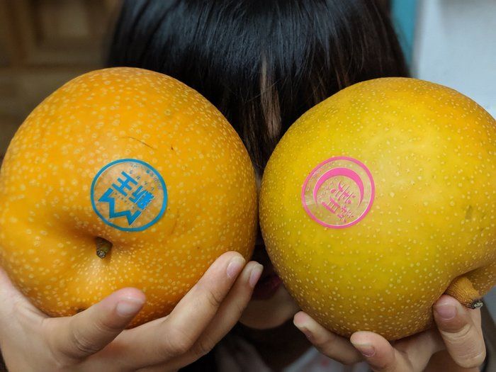 争奪戦のこのコ！