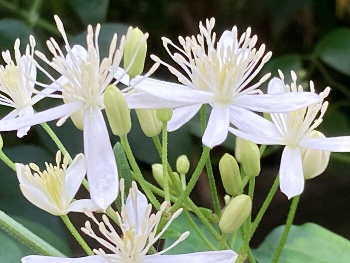 ネガティブになりがちなあなたを応援！ポジティブじゃなくて平気です