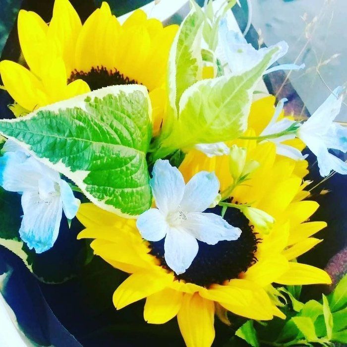 平凡主婦ライターasuminが2020年にやりたいこと５選！