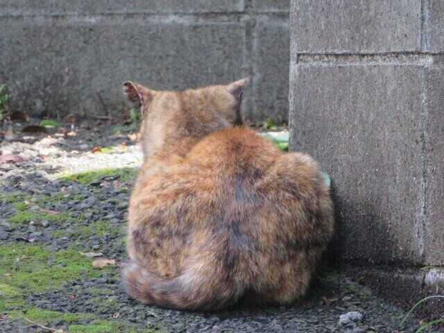 目標は達成できた？2022年の行動を振り返っての自己評価