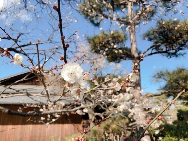 〈愉しくオバさんを生きていく。〉立て続けの病院通いで感じたこと・あれこれ