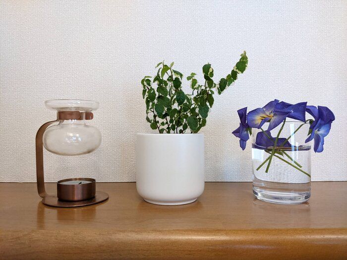 【自己紹介】無印、100均大好き！片付け沼にハマった収納オタクの「ぬま」です