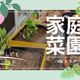 【ド素人の家庭菜園チャレンジ】畑・場所が無くてもできる?!完全素人が家庭菜園スタート!皆さんもやってみませんか?
