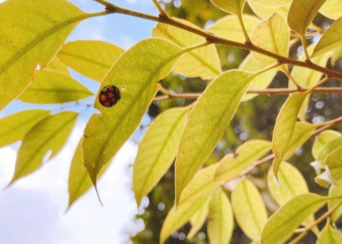 すぐに実践できる「モノを増やすときの3つのマイルール」