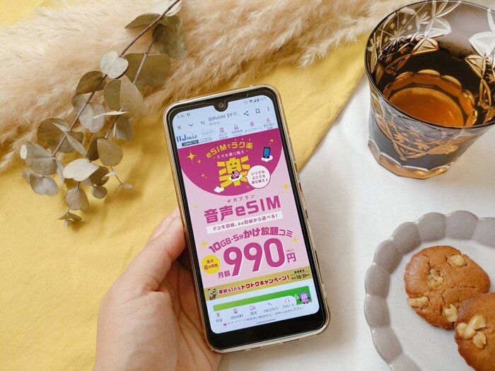 格安SIMからさらに節約！乗り換え作業もかんたんな｢IIJmio（アイアイジェイミオ）｣で頑張らなくても節約できた