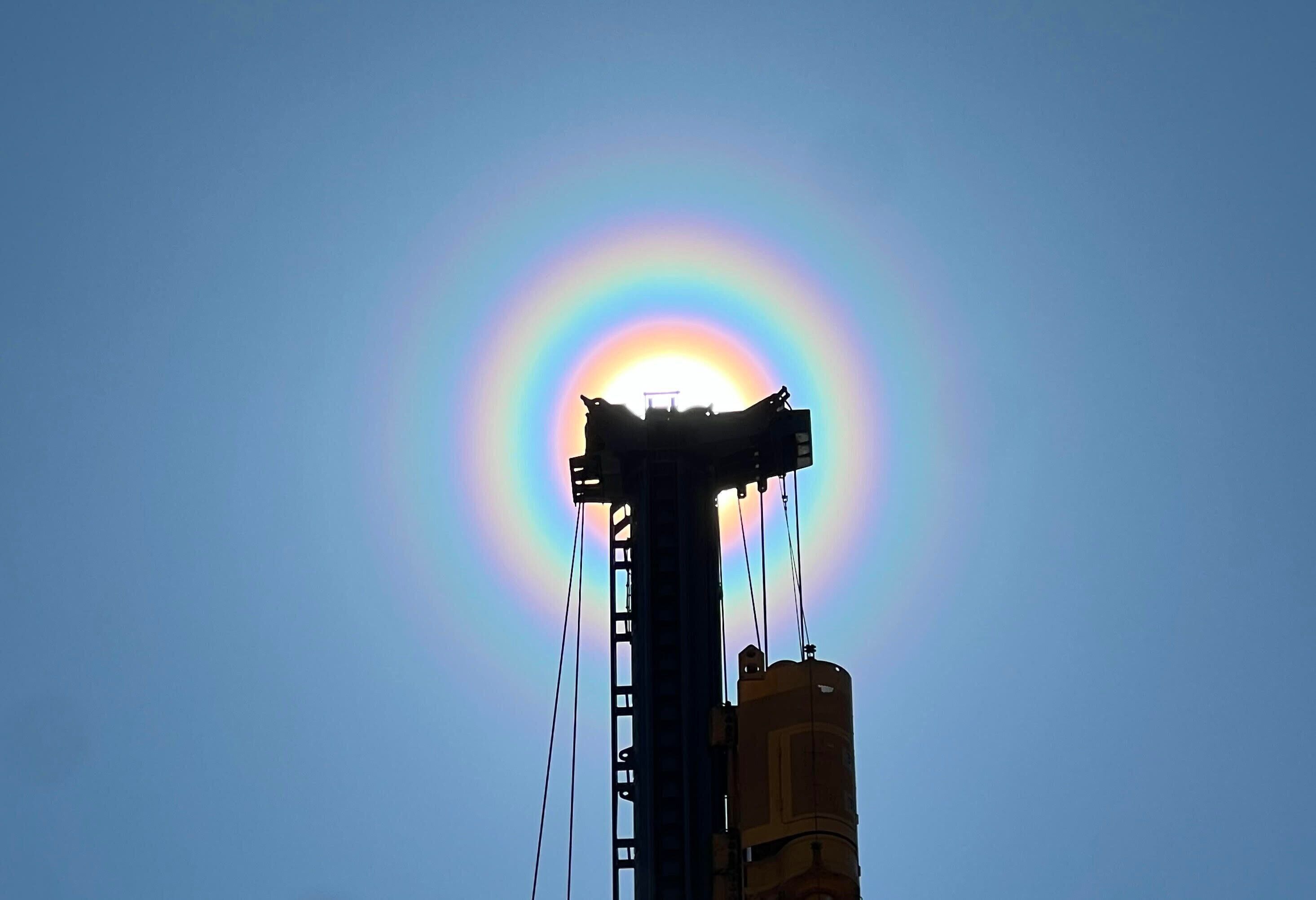 花粉の飛散が多いのはどんな日？魔のサークルも必見