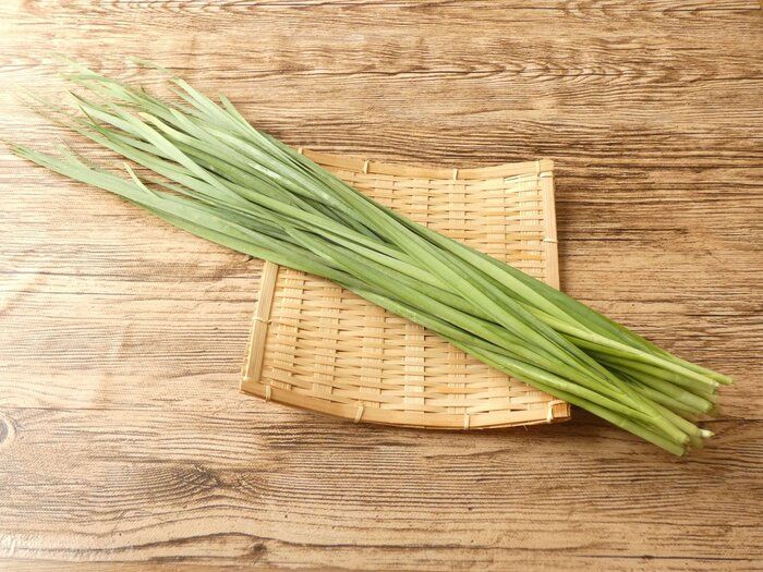 ニラは冷凍保存がオススメ！パパッと使えて簡単時短でおいしさ長持ち