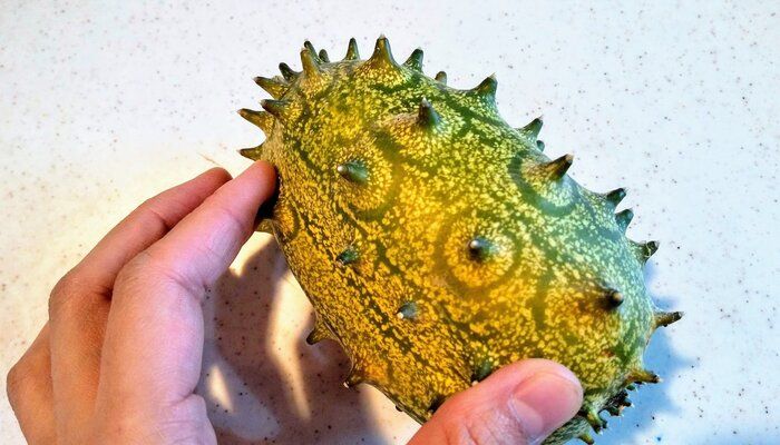 「悪魔の実」と呼ばれるフルーツを食べてみた！気になる見た目・味・栄養とは？