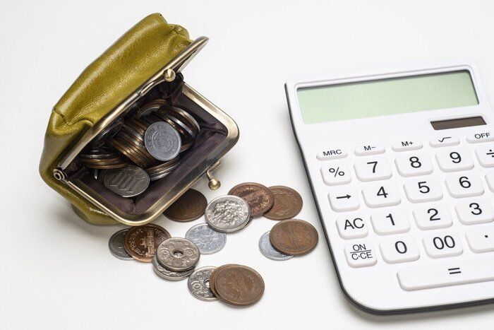 貯金ってこんなに難しかった？物価高でも－1万節約できる方法