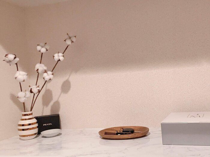 玄関にこれがない生活はもう考えられない！必須アイテム5選