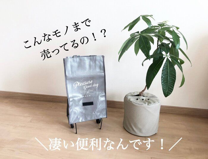 【ダイソー】こんなモノまで売ってるの！？見つけて驚いた便利グッズ