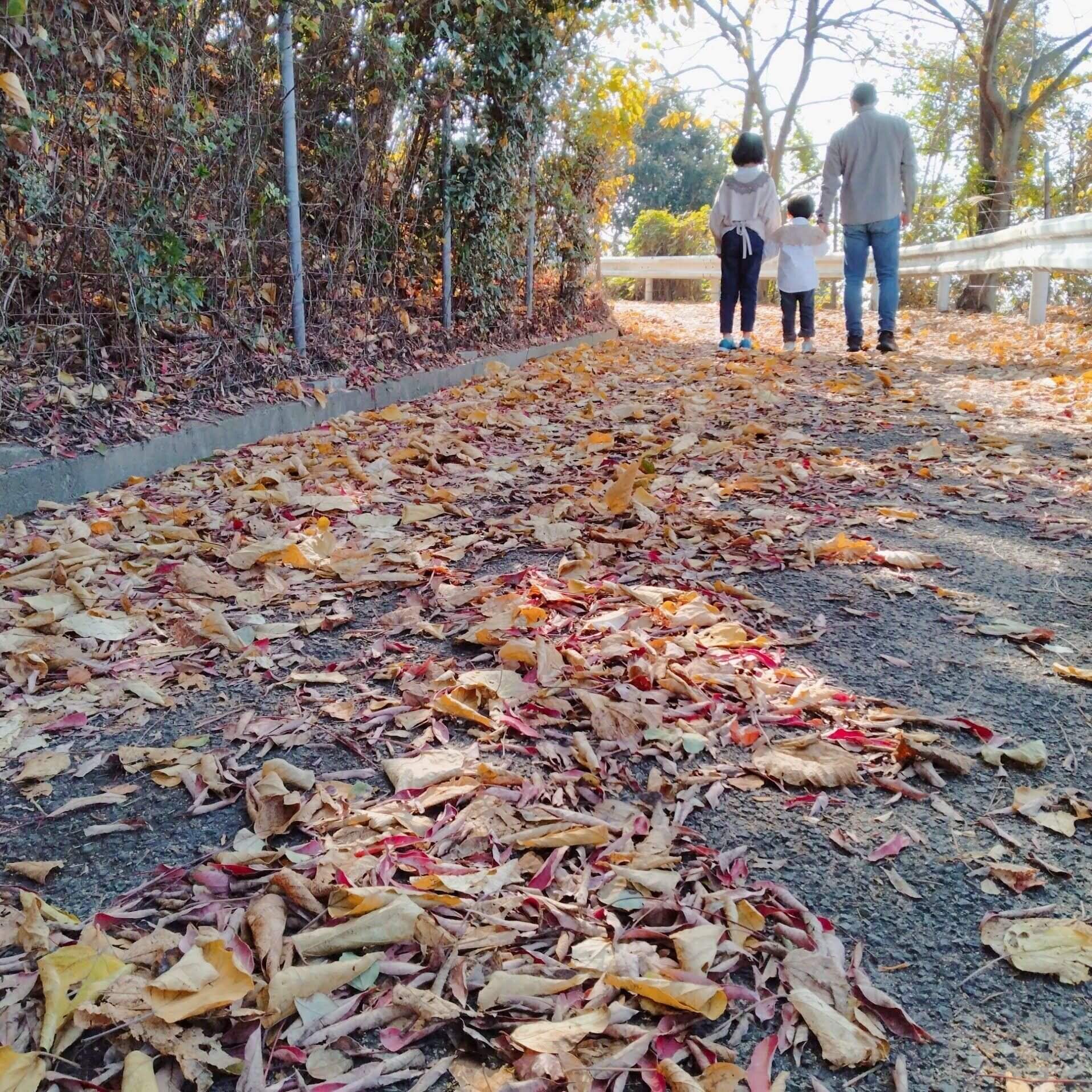 【節約】わが家の｢これくらいでちょうどいい｣暮らし方3つ