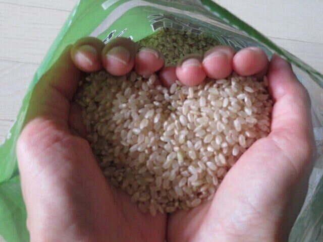 10年以上玄米食べています！おいしく炊くコツと失敗しないレシピ