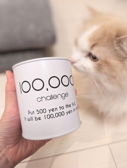 懐かしの500円玉貯金とジモティー