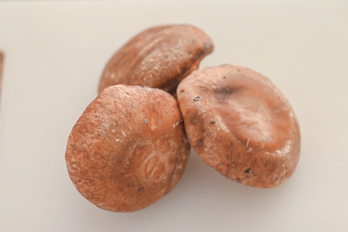 【旬食材】旨味たっぷり♪メイン食材しいたけだけで作れる簡単レシピ3選＆基本の下処理方法