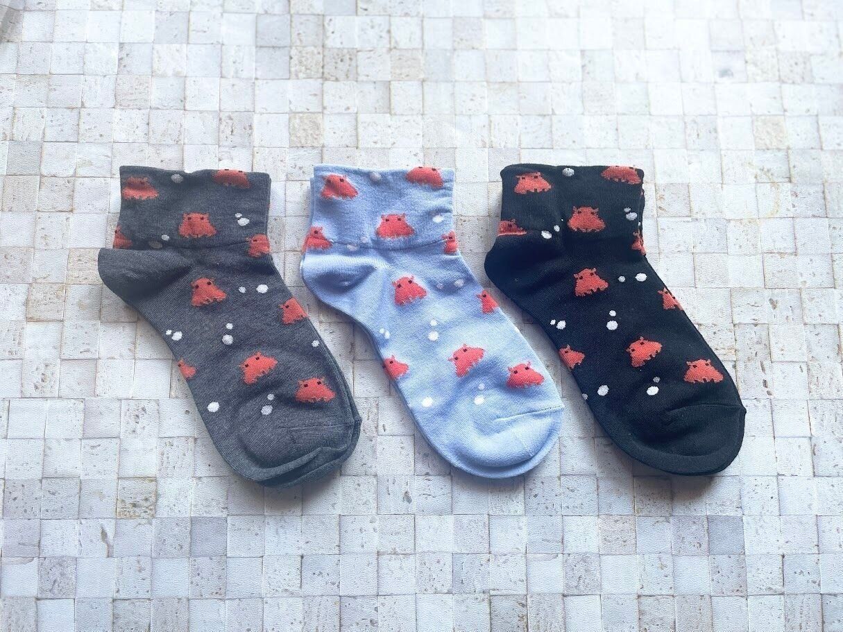 【キャンドゥ】110円でいいんですか？子どもに人気の「メンダコ」ソックス！大人も履ける