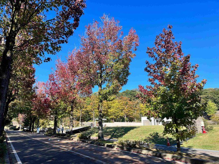 「3℃」「7℃」「8℃」３つの気温をチェックして、秋を快適に！