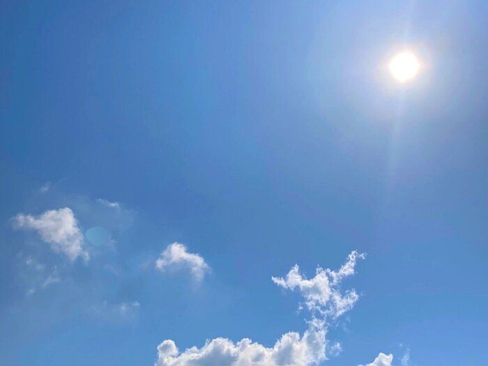 【電気代】使用量が昨年の約半分に！エアコンを使う季節にむりをしないで出来る節電の工夫３選