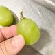 凍らせたシャインマスカットの美味しい食べ方を教えます|色も食感もキープするには?