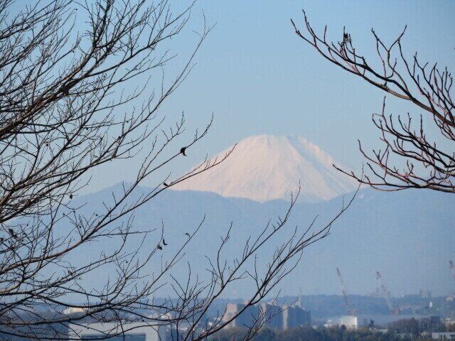 2023年の目標漢字を発表！ぼんやりと見えてきたやりたいこと