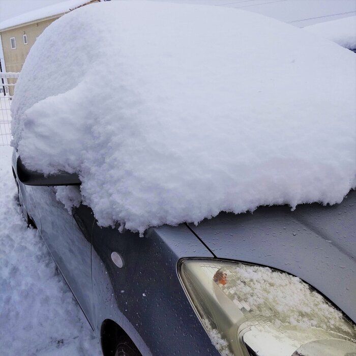【日常】雪のある暮らしってこんな感じです