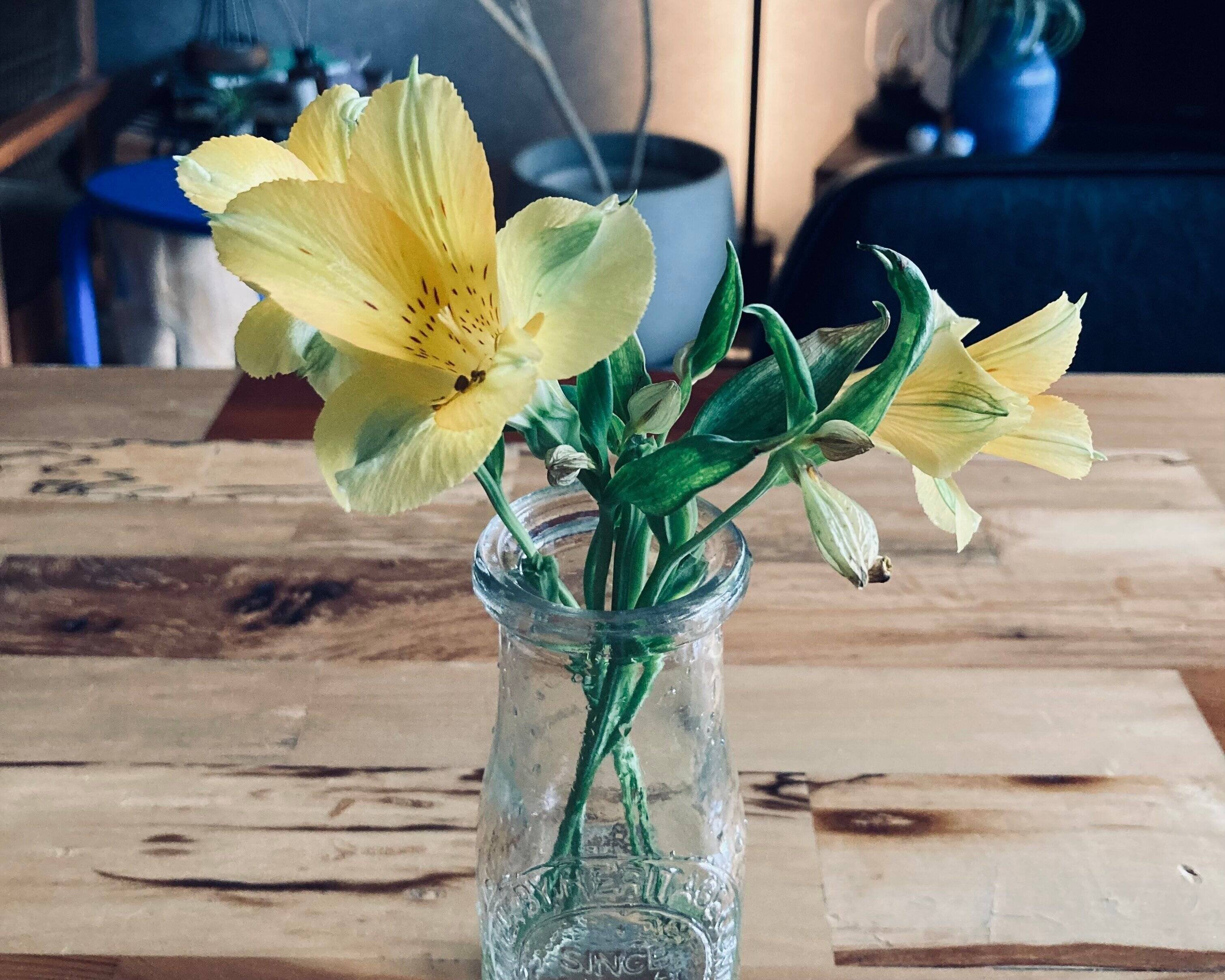 【片づけは家族のためにやらない！】自分のために部屋を整えてみたら…訪れた３つの変化！