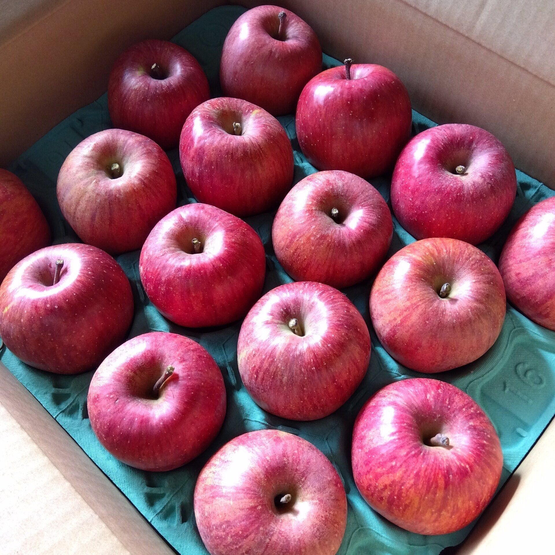 【貯め活中の手土産リスト】わたしも相手も｢ちょっと嬉しい｣が選ぶコツ