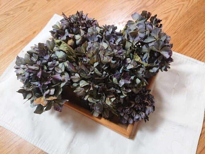 【お弁当】最近のお弁当と小さなご報告