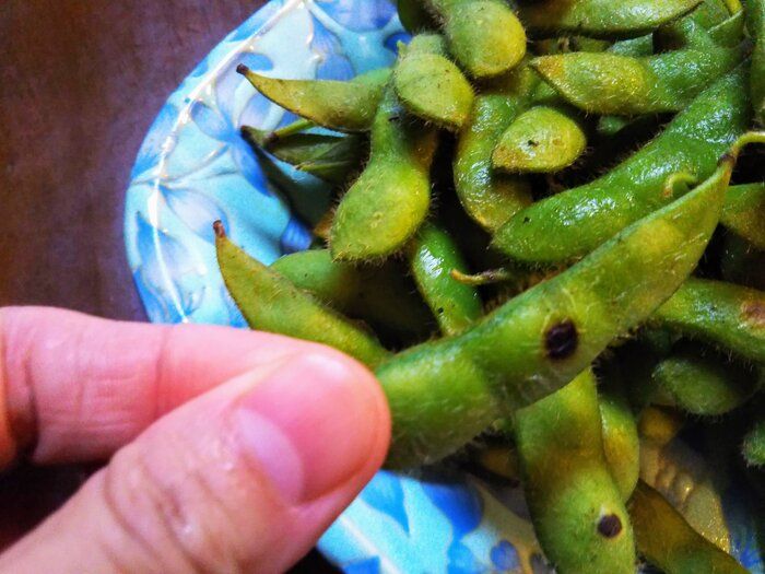 茹でるより10倍美味しい⁉枝豆のうまみを逃がさない時短＋美味しい調理法