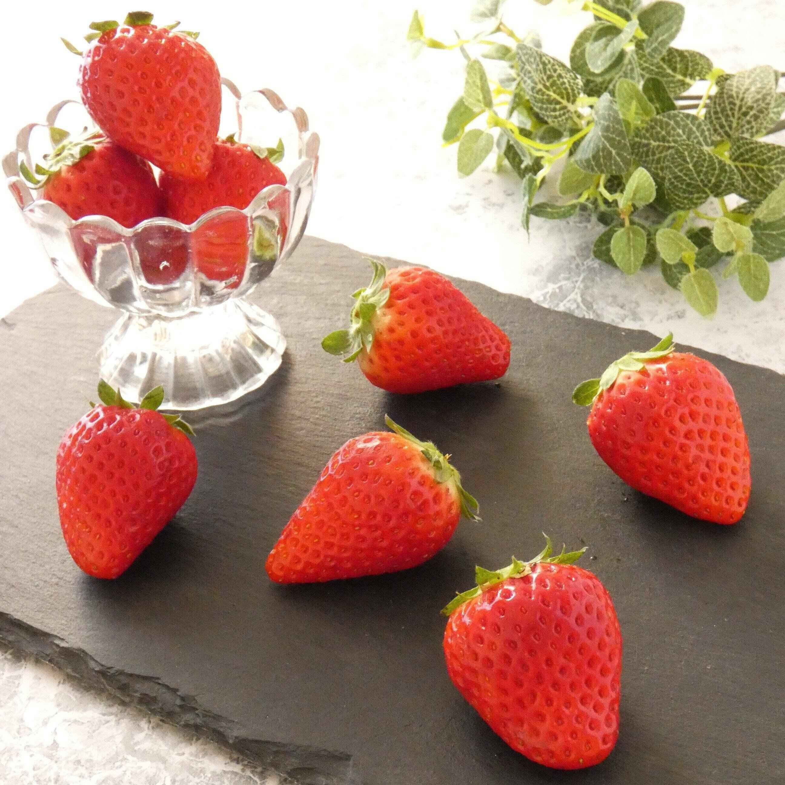 イチゴはコーティングして冷凍保存！フレッシュな香りとアレンジがいろいろ楽しめる