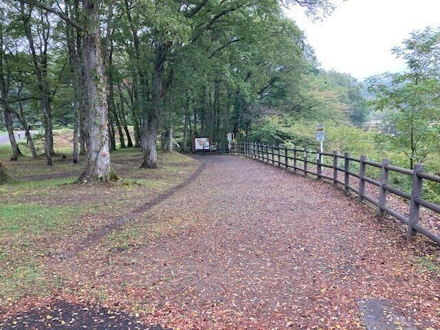 〈愉しくオバさんを生きていく。〉え、髪は盛るとかえって老ける!？　