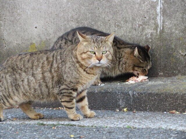 いじわるする人の考え方って？行動パターンから見える心の闇