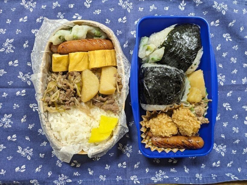 【お弁当】本日も節約弁当なり９