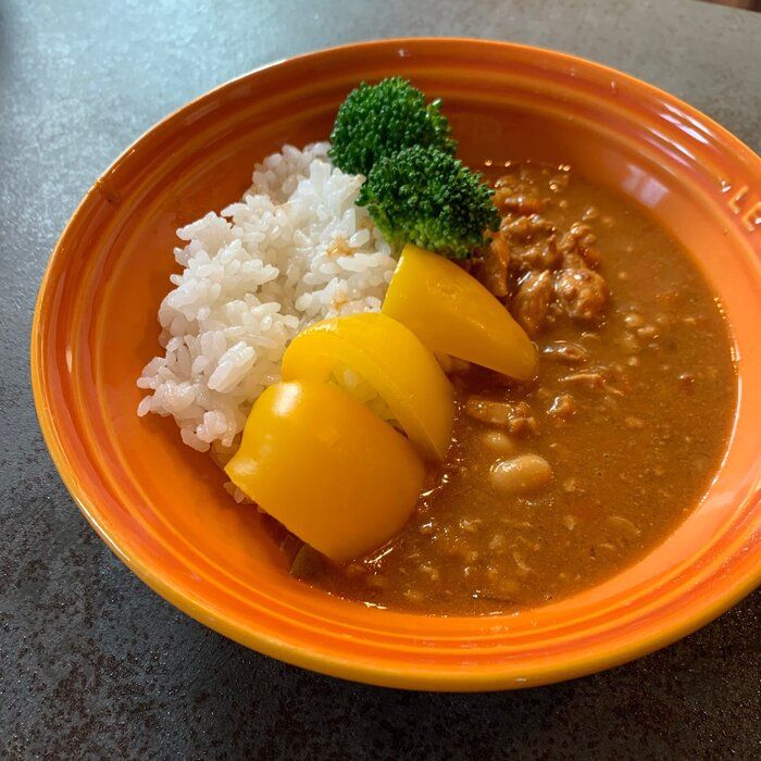 【イオン】「これ、本当に低糖質？」-10kgの主婦がハマった！ダイエッターの希望全てを叶えたカレー