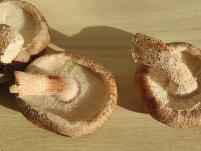 食費節約しようとして失敗！気をつけたい食品ロス削減法