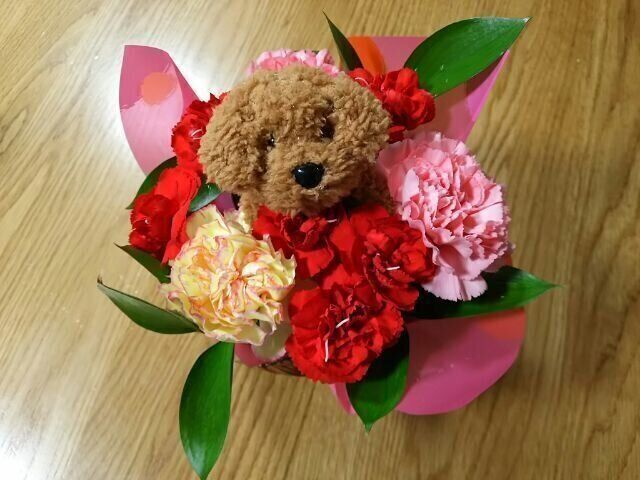 【子育て】不登校だった息子のその後