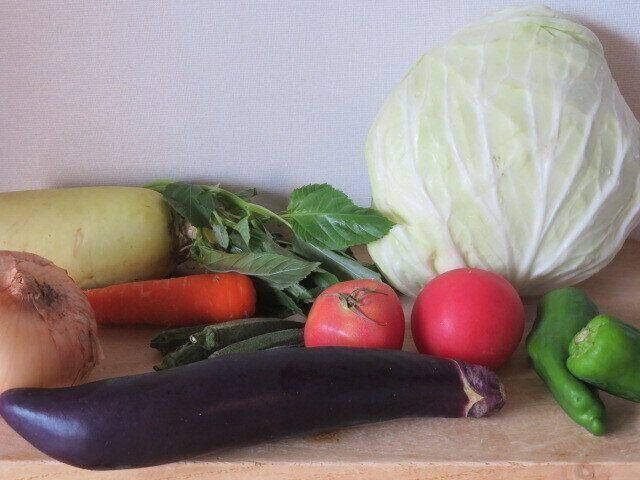 1日分の野菜ってどのくらい？ガチで量って食べてみた結果