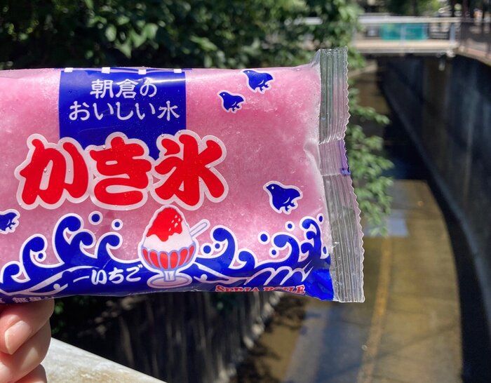 九州の夏の定番『袋かき氷』って知ってる？人気の秘密４選を大公開！