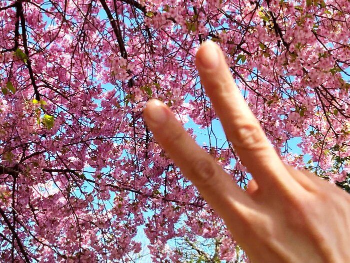 冬に重くなった体がすっきり！春ダイエットで運動や食事制限の前にやりたいこと