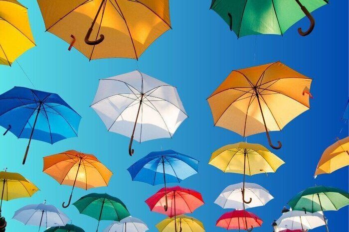  雨の日こそ時短チャンス！モヤっとしない天気予報の活用法