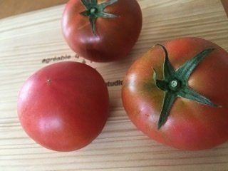 リッチな気分に！！