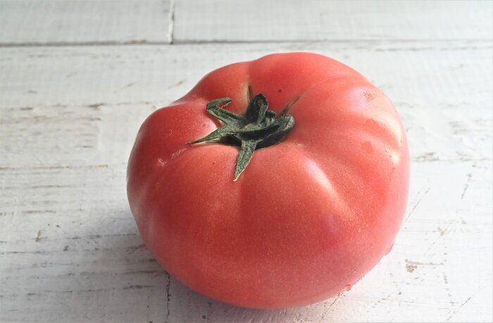 【旬食材】メイン食材トマトだけ！トマトの和え物を和・洋・中で味わおう♪簡単レシピ3選