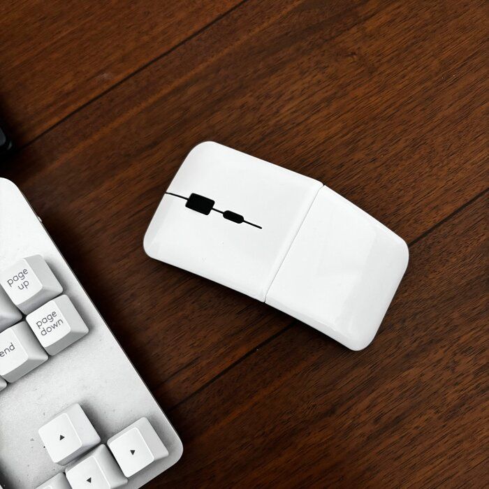 【楽天】わたしのお気に入りの持ち運びしやすいシンプルなマウス！