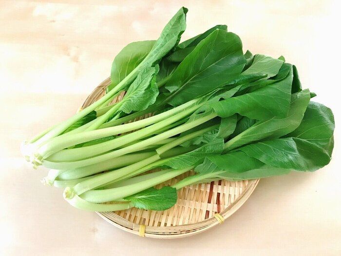 根元の土が洗えず困ってない！？かしこい小松菜の洗い方はコレ！