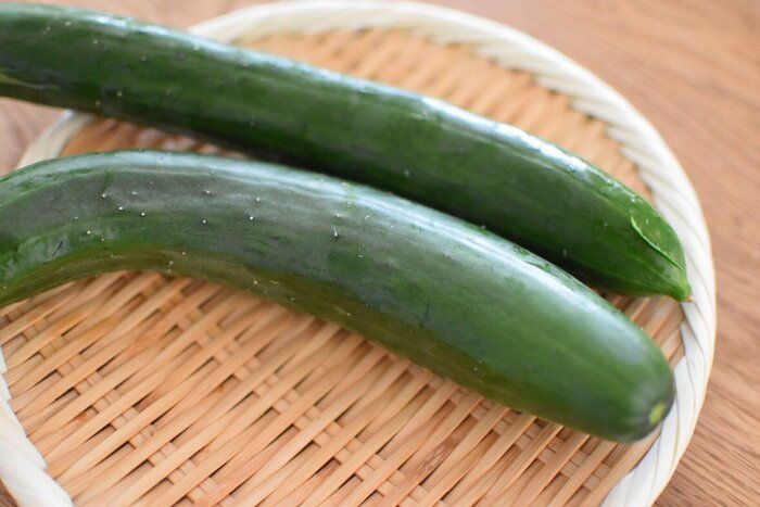 【献立の悩み解消】きゅうりの消費にぴったり！"白だし"を使ったおすすめレシピ3選
