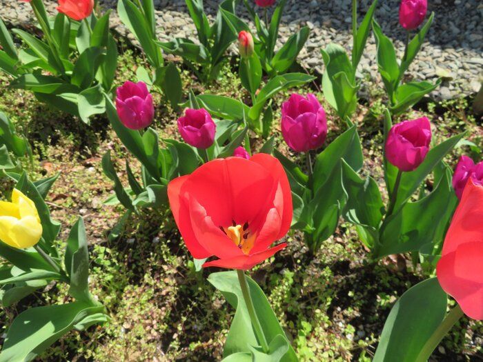 ストレスフルな時期はコレで乗り切る！癒しをくれる4つのツール